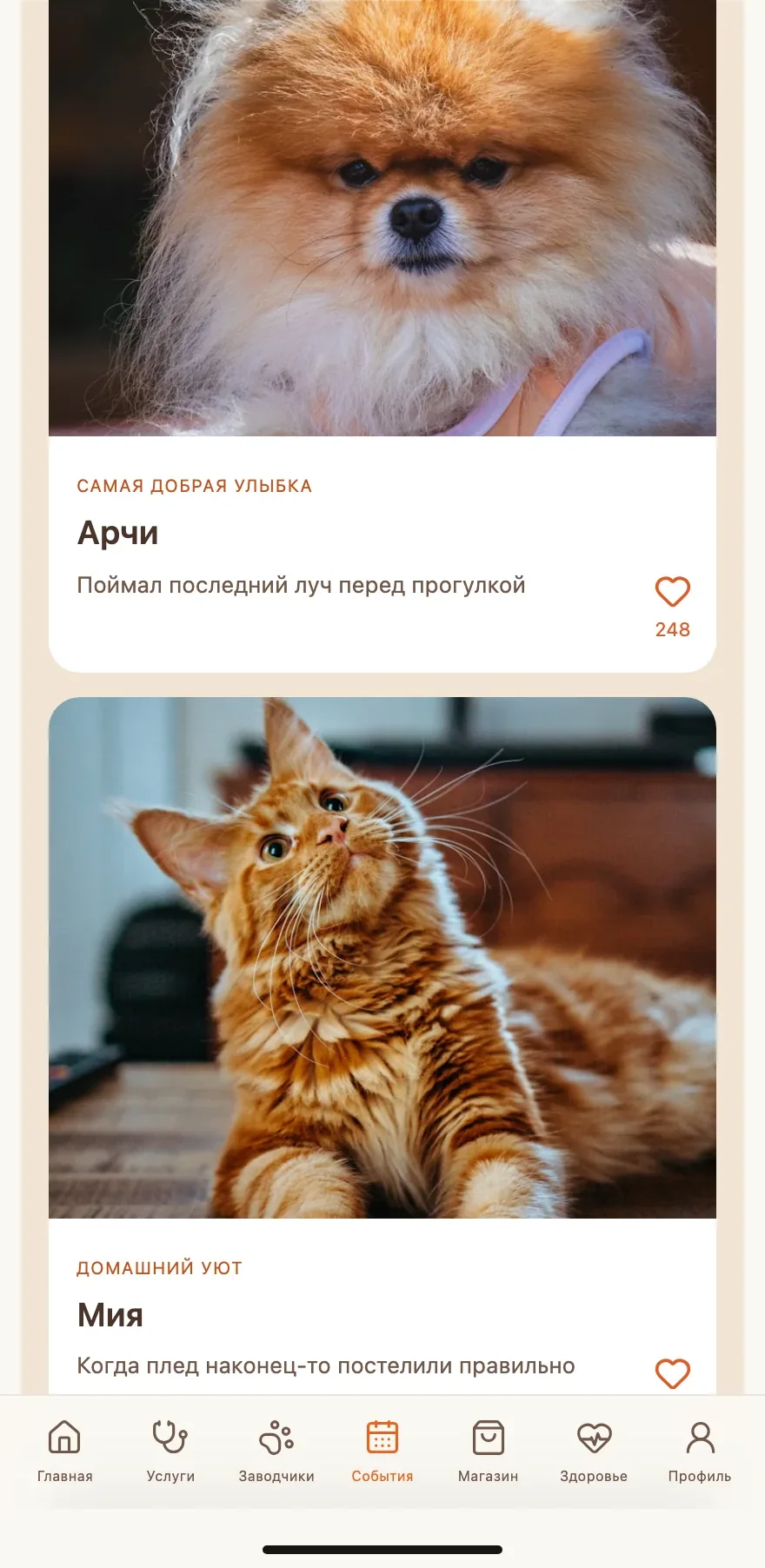 Галерея фотоконкурса PETS